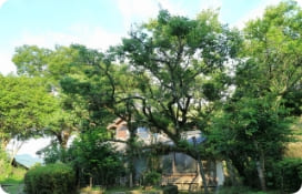 近隣トラブルを防ぎます。