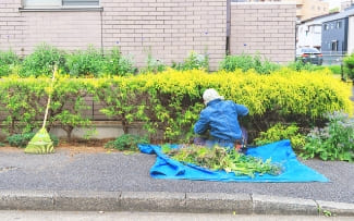 除草や除草剤の散布