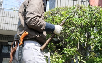 植栽の剪定